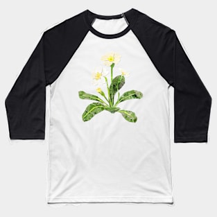 Common Primrose Baseball T-Shirt